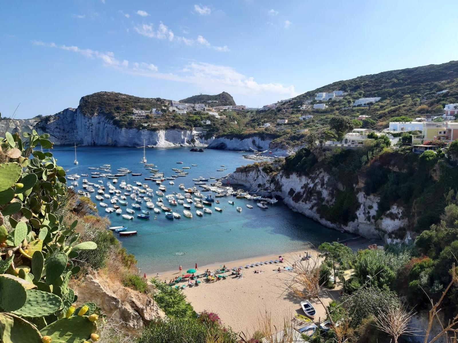 Homes - Cala Feola Ponza